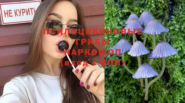 экстази Гусь-Хрустальный