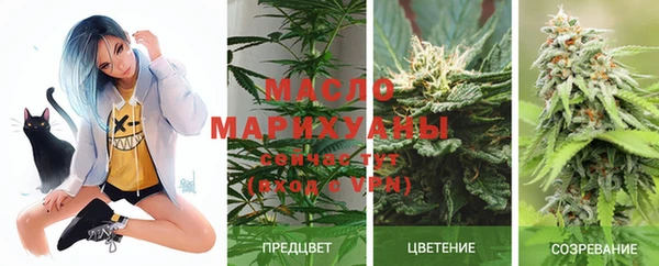не бодяженный Арсеньев