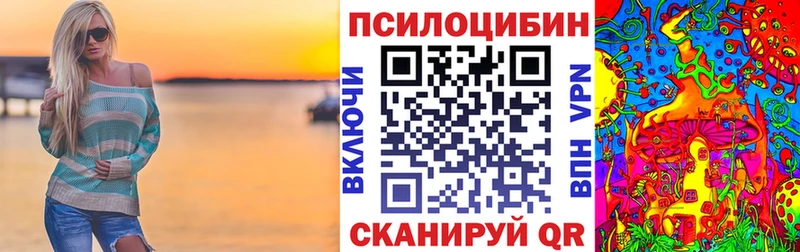 Псилоцибиновые грибы Psilocybine cubensis блэк спрут ссылки Печоры